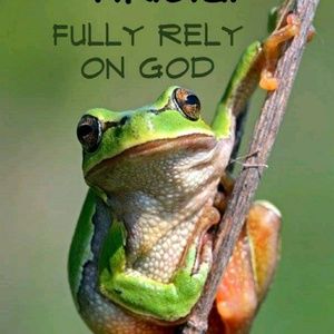 Meet your Posher, Audrey